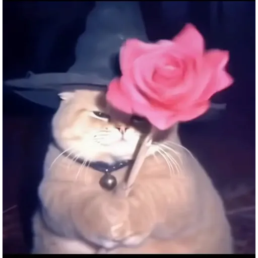 ملصق